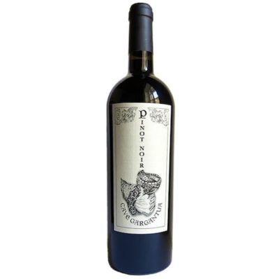 Vallèe Aoste Pinot Noir